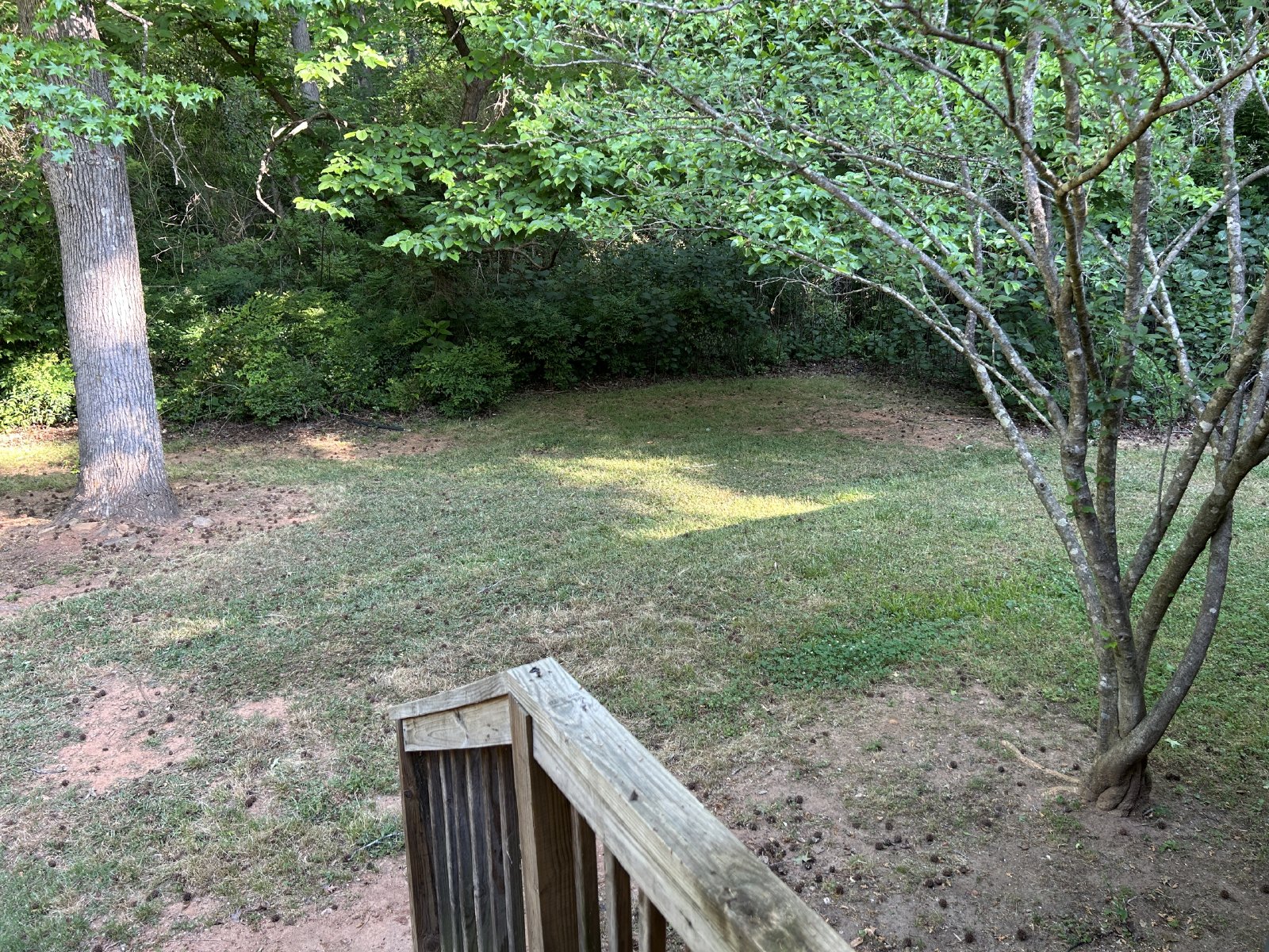 2 bedroom 1 bath Duplex on Eastside of Athens, Georgia property image