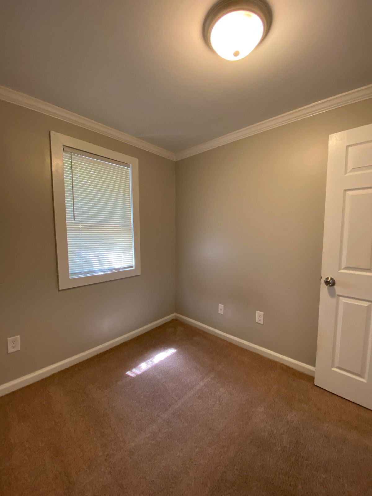 AVAILABLE NOW! Cute 2 bedroom and 1 bath duplex located just 1.4 miles away from the UGA Arch! property image